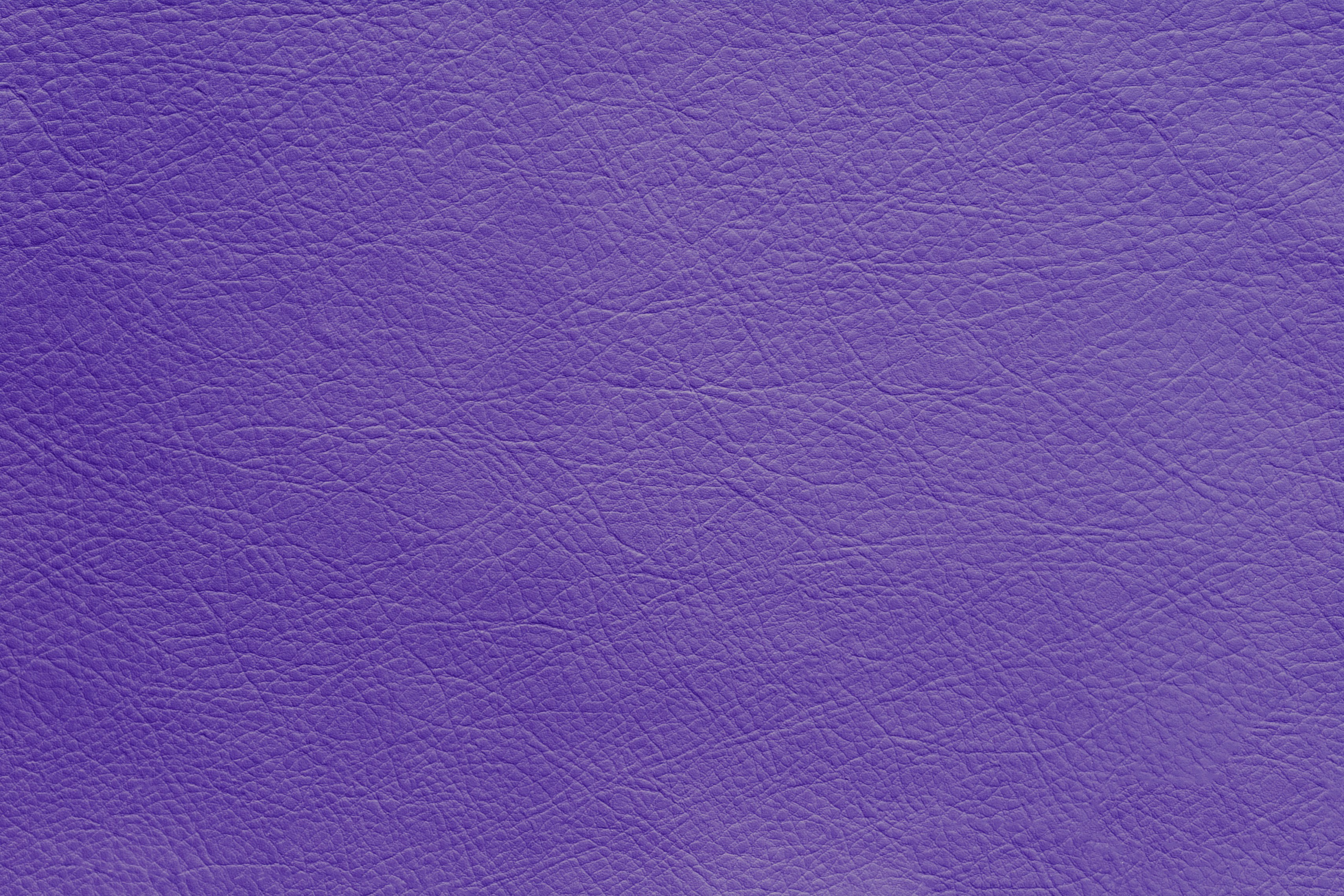 Purple Leather